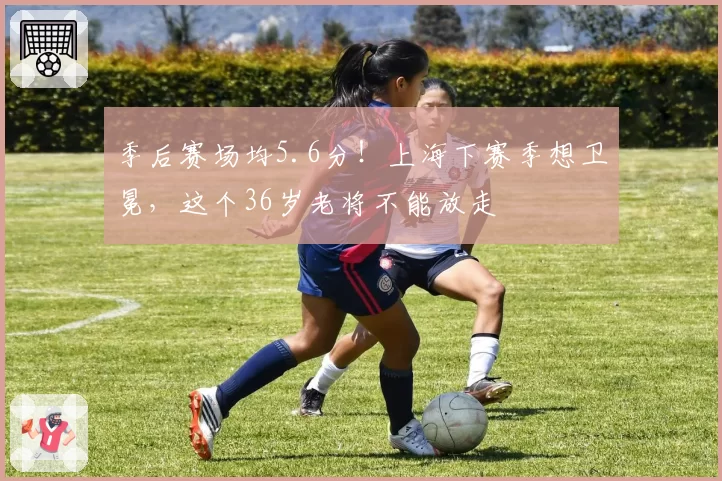 季后赛场均5.6分!上海下赛季想卫冕,这个36岁老将不能放走